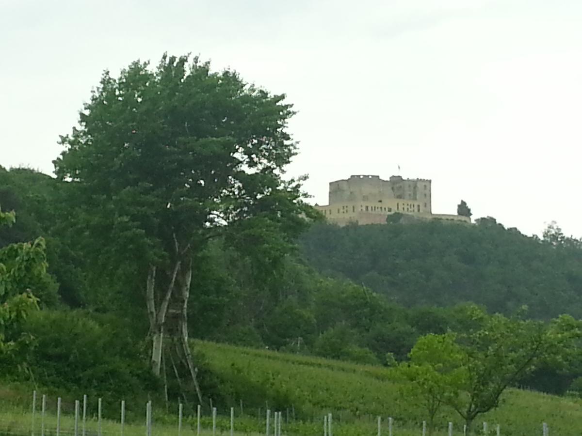 Gaestehaus Weingut Glas Neustadt an der Weinstraße Kültér fotó